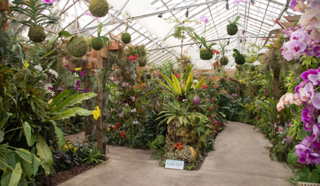 Orchid Garden in a greenhouse with a variety of plants
